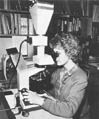 Photograph of scientist studying fossils with a microscope