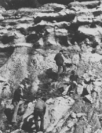 Layered rocks at St. Stephens, Alabama