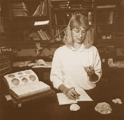 Scientist examines and compares fossil shells
