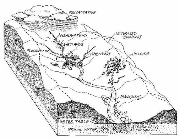 Watershed Cross section