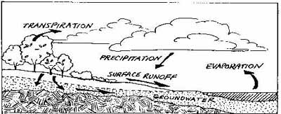 Water cycle