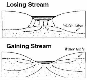 loosing and gaining water