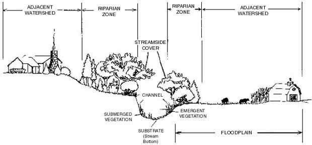 Components of the stream system
