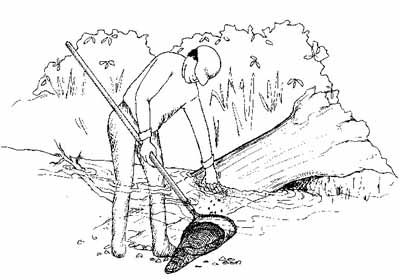 Collecting sample from log