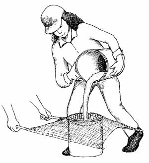 Pouring sample water